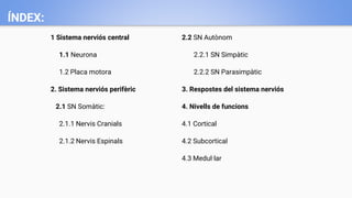 ÍNDEX:
1 Sistema nerviós central
1.1 Neurona
1.2 Placa motora
2. Sistema nerviós perifèric
2.1 SN Somàtic:
2.1.1 Nervis Cranials
2.1.2 Nervis Espinals
2.2 SN Autònom
2.2.1 SN Simpàtic
2.2.2 SN Parasimpàtic
3. Respostes del sistema nerviós
4. Nivells de funcions
4.1 Cortical
4.2 Subcortical
4.3 Medul·lar
 