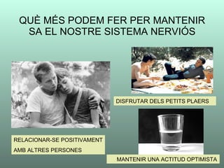 QUÈ MÉS PODEM FER PER MANTENIR SA EL NOSTRE SISTEMA NERVIÓS RELACIONAR-SE POSITIVAMENT AMB ALTRES PERSONES DISFRUTAR DELS PETITS PLAERS MANTENIR UNA ACTITUD OPTIMISTA 