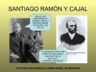 SANTIAGO RAMÓN Y CAJAL GOLGI, LES NEURONES ES PASSEN L’IMPULS NERVIÓS SENSE TOCAR-SE, T’HO DIC JO! TU GUANYES, PERÒ HAN POSAT EL MEU NOM A UNA PART DE LA CÈL·LULA, L’APARELL DE GOLGI! TOTS DOS VAN REBRE EL PREMI NOBEL DE MEDICINA 