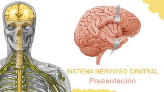 Presentación
SISTEMA NERVIOSO CENTRAL
 