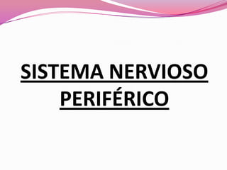 SISTEMA NERVIOSO
PERIFÉRICO

 