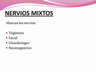 NERVIOS MIXTOS
Abarcan los nervios:
 Trigémino
 Facial

 Glosofaríngeo
 Neumogástrico

 