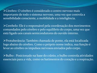 EncéfaloLocalizado dentro do crânio, ele é formado pelo cérebro, o cerebelo, a protuberância e o bulbo raquidiano. Juntamente com a medula espinhal, forma o sistema nervoso central.
