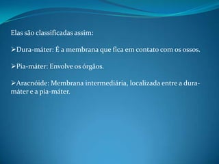 Medula EspinhalA medula espinhal é uma espécie de cordão localizado dentro da coluna vertebral. Ela é a responsável pelos atos involuntários e pela condução dos impulsos nervosos, já que dela partem 31 pares de nervos que se ramificam, conectando a medula com as mais variadas partes do corpo. Através desta rede de nervos, a medula transmite as mensagens do cérebro às mais variadas partes do corpo, e envia a ele os estímulos captados pelo corpo. 