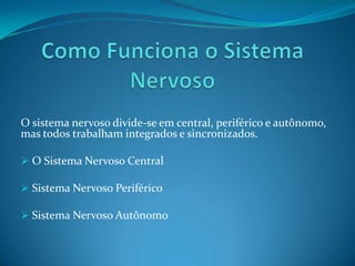 Como Funciona o Sistema NervosoO sistema nervoso divide-se em central, periférico e autônomo, mas todos trabalham integrados e sincronizados. O Sistema Nervoso Central  Sistema Nervoso Periférico  Sistema Nervoso Autônomo Sistema Nervoso Central