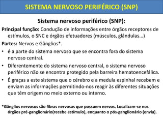 Sistema nervoso Autônomo (SNA):
• Sistema nervoso autônomo é a parte do Sistema nervoso que está
relacionada ao controle d...