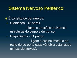 Hemisfériodireito – pensamentoconcreto, formação de imagens, relaçõesespaciais, etc…