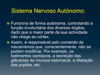 Cadahemisfério tem 4 lobos:
