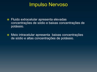 Localizada dentro do canal raquidiano