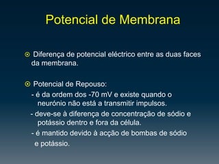 Prolonga-se apenas até à 2º vértebra lombar.SistemaNervosoPeriférico:É constituídopornervos: