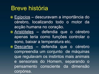 Breve história Egípcios – descuravam a importância do cérebro, localizando todo o motor da acção humana no coração.Aristóteles – defendia que o cérebro apenas teria como funções controlar o sono, baixar a temperatura etc.Descartes – defendia que o cérebro compreendia um conjunto  de máquinas que regulavam os instintos mais animais e sensoriais do Homem, separando o pensamento consciente da dimensão corpórea.