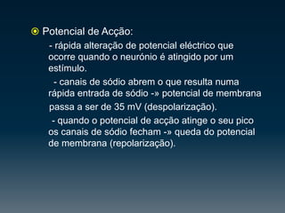 Cranianos - 12 pares.                     - ligam o encéfalo a diversasestruturas do corpo e do tronco.Raquidianos - 31 pares.                         - ligam a espinalmedulaaoresto do corpo (a cadavértebraestá ligado um par de nervos).