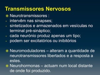 Encarregue dos movimento voluntários.Sistema Nervoso Autónomo:Funciona de forma autónoma, controlando a função involuntária dos diversos órgãos, dado que a maior parte da sua actividade não chega ao córtex. 