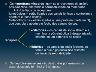 Células NervosasNeurónios –responsáveispelaactividade nervosa.