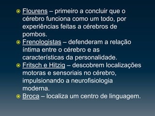 Flourens –primeiro a concluir que o cérebro funciona como um todo, por experiências feitas a cérebros de pombos.Frenologistas– defenderam a relação íntima entre o cérebro e as características da personalidade.Fritsch e Hitzig – descobrem localizações motoras e sensoriais no cérebro, impulsionando a neurofisiologia moderna.Broca – localiza um centro de linguagem.