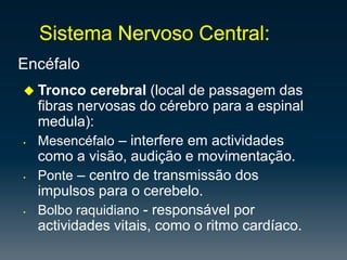 Sistema Nervoso Central:EncéfaloTronco cerebral (local de passagem das fibras nervosas do cérebro para a espinal medula):