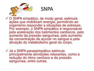 Medula espinal ou espinhalCumpre duas funções principais :Servir como conexão entre o encéfalo e os outros nervos.Centralizar muitos atos reflexos, que ocorrem involuntariamente.