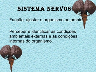 Sistema Nervoso Função: ajustar o organismo ao ambiente. Perceber e identificar as condições ambientais externas e as condições internas do organismo. 