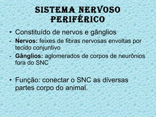 Sistema Nervoso Periférico Constituído de nervos e gânglios Nervos:  feixes de fibras nervosas envoltas por tecido conjuntivo Gânglios:  aglomerados de corpos de neurônios fora do SNC Função: conectar o SNC as diversas partes corpo do animal. 