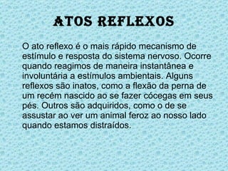 Atos Reflexos O ato reflexo é o mais rápido mecanismo de estímulo e resposta do sistema nervoso. Ocorre quando reagimos de maneira instantânea e involuntária a estímulos ambientais. Alguns reflexos são inatos, como a flexão da perna de um recém nascido ao se fazer cócegas em seus pés. Outros são adquiridos, como o de se assustar ao ver um animal feroz ao nosso lado quando estamos distraídos. 