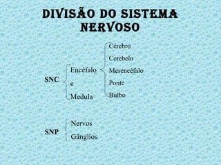 Divisão do Sistema Nervoso SNC Encéfalo e Medula SNP Nervos Gânglios Cérebro Cerebelo Mesencéfalo Ponte Bulbo 