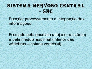 Sistema Nervoso Central - SNC Função: processamento e integração das informações. Formado pelo encéfalo (alojado no crânio) e pela medula espinhal (interior das vértebras – coluna vertebral). 