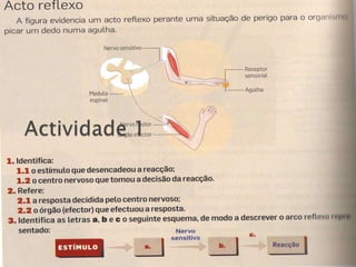 Actividade 1