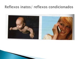 Reflexos inatos/ reflexos condicionados