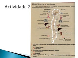 Actividade 2