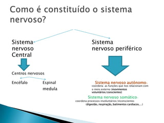 Sistema				Sistema nervoso 				nervoso periféricoCentralCentros nervosos Encéfalo	Espinal                                Sistema nervoso autónomo- 					coordena  as funções que nos relacionam com 		medula			o meio externo (movimentos 						voluntários/conscientes)Sistema nervoso somático- 					coordena processos involuntários/inconscientes					             (digestão, respiração, batimentos cardiacos,...)  Como é constituído o sistema nervoso?