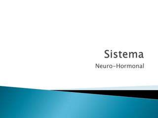 Sistema  Neuro-Hormonal 