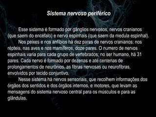 Sistema nervoso periférico Esse sistema é formado por gânglios nervosos, nervos cranianos (que saem do encéfalo) e nervo espinhais (que saem da medula espinhal). Nos peixes e nos anfíbios há dez pares de nervos cranianos; nos répteis, nas aves e nos mamíferos, doze pares. O numero de nervos espinhais varia para cada grupo de vertebrados; no ser humano, há 31 pares. Cada nervo é formado por dezenas e até centenas de prolongamentos de neurônios, as fibras nervosas ou neurofibras, envolvidos por tecido conjuntivo. Nesse sistema há nervos sensoriais, que recolhem informações dos órgãos dos sentidos e dos órgãos internos, e motores, que levam as mensagens do sistema nervoso central para os músculos e para as glândulas. 