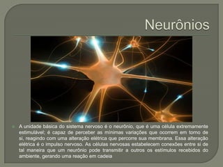 NeurôniosA unidade básica do sistema nervoso é o neurônio, que é uma célula extremamente estimulável; é capaz de perceber as mínimas variações que ocorrem em torno de si, reagindo com uma alteração elétrica que percorre sua membrana. Essa alteração elétrica é o impulso nervoso. As células nervosas estabelecem conexões entre si de tal maneira que um neurônio pode transmitir a outros os estímulos recebidos do ambiente, gerando uma reação em cadeia