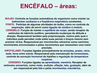 ENCÉFALO – áreas: BULBO : Controla as funções automáticas do organismo como manter os  batimentos cardíacos  e a  freqüência respiratória  constantes.  PONTE :  Participa de algumas atividades do bulbo, como no controle da  respiração , além de servir como  ligação do cérebro à medula .  CEREBELO : Função de manter o  equilíbrio do corpo , sendo receptor de estímulos do labirinto auditivo, percebendo mudanças de altitude e direção. Responsável também pela própriocepção, motivo pelo qual o indivíduo pode perceber onde estão suas pernas e braços mesmo sem precisar vê-los. Responsável por movimentos rotineiros como caminhar, movimentos sincronizados e pelos movimentos que necessitam uma maior precisão.  HIPOTÁLAMO : Funções ligadas principalmente às  emoções ,  prazer ,  raiva ,  sede ,  fome  entre outras. Responsável pela manutenção da  homeostase , controle da  secreção hormonal  da hipófise e  regulação da temperatura corpórea.  CÉREBRO : Funções ligadas ao  aprendizado ,  memória . Receptor de  estímulos sensoriais , como  visão ,  audição ,  olfação ,  tato ,  gustação , além de ser responsável pela  fala  e pelos  movimentos voluntários. 