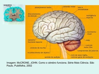 Imagem: McCRONE, JOHN. Como o cérebro funciona. Série Mais Ciência. São Paulo, Publifolha, 2002  