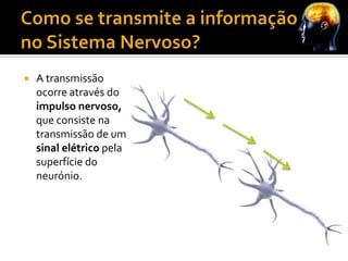 O cérebro humano é
 Existem mais neurónios
                                       constituído por mais
no nosso cérebro do...