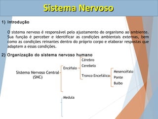 SSiisstteemmaa NNeerrvvoossoo 
3) Sistema nervoso central (SNC) 
a) Encéfalo 
I) Cérebro 
 Funções: 
o Sensações 
o Atos ...