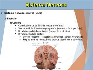 SSiisstteemmaa NNeerrvvoossoo 
3) Sistema nervoso central (SNC) 
I) Cérebro 
Tálamo e Hipotálamo 
Tálamo 
Hipotálamo 
 