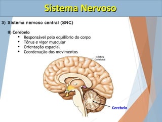 SSiisstteemmaa NNeerrvvoossoo 
3) Sistema nervoso central (SNC) 
III) Tronco encefálico 
 Ponte 
o Manutenção da postura ...
