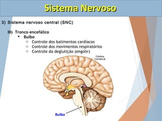 SSiisstteemmaa NNeerrvvoossoo 
3) Sistema nervoso central (SNC) 
b) Medula Espinhal (raque) 
 Reflexo Medular 
A medula e...