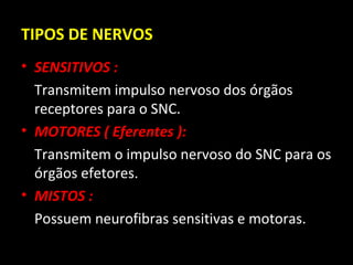 TIPOS DE NERVOS
• SENSITIVOS :
  Transmitem impulso nervoso dos órgãos
  receptores para o SNC.
• MOTORES ( Eferentes ):
  Transmitem o impulso nervoso do SNC para os
  órgãos efetores.
• MISTOS :
  Possuem neurofibras sensitivas e motoras.
 