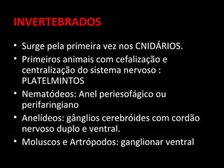 INVERTEBRADOS
• Surge pela primeira vez nos CNIDÁRIOS.
• Primeiros animais com cefalização e
  centralização do sistema nervoso :
  PLATELMINTOS
• Nematódeos: Anel periesofágico ou
  perifaringiano
• Anelídeos: gânglios cerebróides com cordão
  nervoso duplo e ventral.
• Moluscos e Artrópodos: ganglionar ventral
 