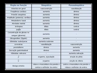 Sistema Nervoso - Aula em Power Point