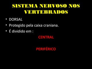 SISTEMA NERVOSO NOS
       VERTEBRADOS
• DORSAL
• Protegido pela caixa craniana.
• É dividido em :
                    CENTRAL

                  PERIFÉRICO
 