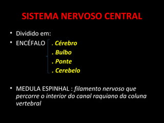 SISTEMA NERVOSO CENTRAL
• Dividido em:
• ENCÉFALO . Cérebro
               . Bulbo
               . Ponte
               . Cerebelo

• MEDULA ESPINHAL : filamento nervoso que
  percorre o interior do canal raquiano da coluna
  vertebral
 