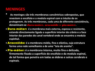 MENINGES
• As meninges são três membranas concêntricas sobrepostas, que
   revestem o encéfalo e a medula espinal com o intuito de os
   protegerem. As três membranas, cada uma de diferente consistência,
   denominam-se dura-máter, aracnóide e pia-máter.
• Dura-máter: é a membrana mais externa, espessa e resistente,
   estando directamente ligada a superfície interior do crânio e a face
   interior das paredes do canal vertebral onde se encontra a medula
   espinhal.
• Aracnóide: é a membrana média, fina e elástica, cuja estrutura
   forma uma rede semelhante a de uma "teia de aranha".
• Pia-máter: é a membrana interna, muito fina e delicada,
   firmemente fixada a superfície do encéfalo e da medula espinal,
   de tal forma que penetra em todas as dobras e sulcos cerebrais e
   espinais.
 