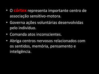 • O córtex representa importante centro de
  associação sensitivo-motora.
• Governa ações voluntárias desenvolvidas
  pelo indivíduo.
• Comanda atos inconscientes.
• Abriga centros nervosos relacionados com
  os sentidos, memória, pensamento e
  inteligência.
 