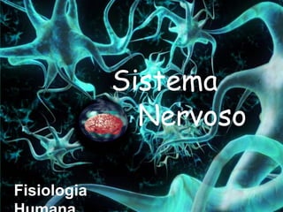 Sistema
               Nervoso

Fisiologia
 