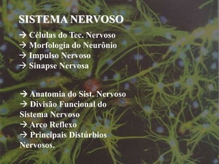 SISTEMA NERVOSO
 SISTEMA NERVOSO
 Células do Tec. Nervoso
 Células do Tec. Nervoso
 Morfologia do Neurônio
 Morfologia do Neurônio
 Impulso Nervoso
 Impulso Nervoso
 Sinapse Nervosa
 Sinapse Nervosa

 Anatomia do Sist. Nervoso
  Anatomia do Sist. Nervoso
 Divisão Funcional do
  Divisão Funcional do
Sistema Nervoso
 Sistema Nervoso
 Arco Reflexo
  Arco Reflexo
 Principais Distúrbios
  Principais Distúrbios
Nervosos.
 Nervosos.
 
