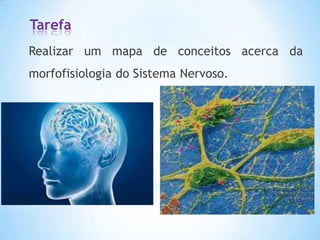 Tarefa
Realizar um mapa de conceitos acerca da
morfofisiologia do Sistema Nervoso.
 